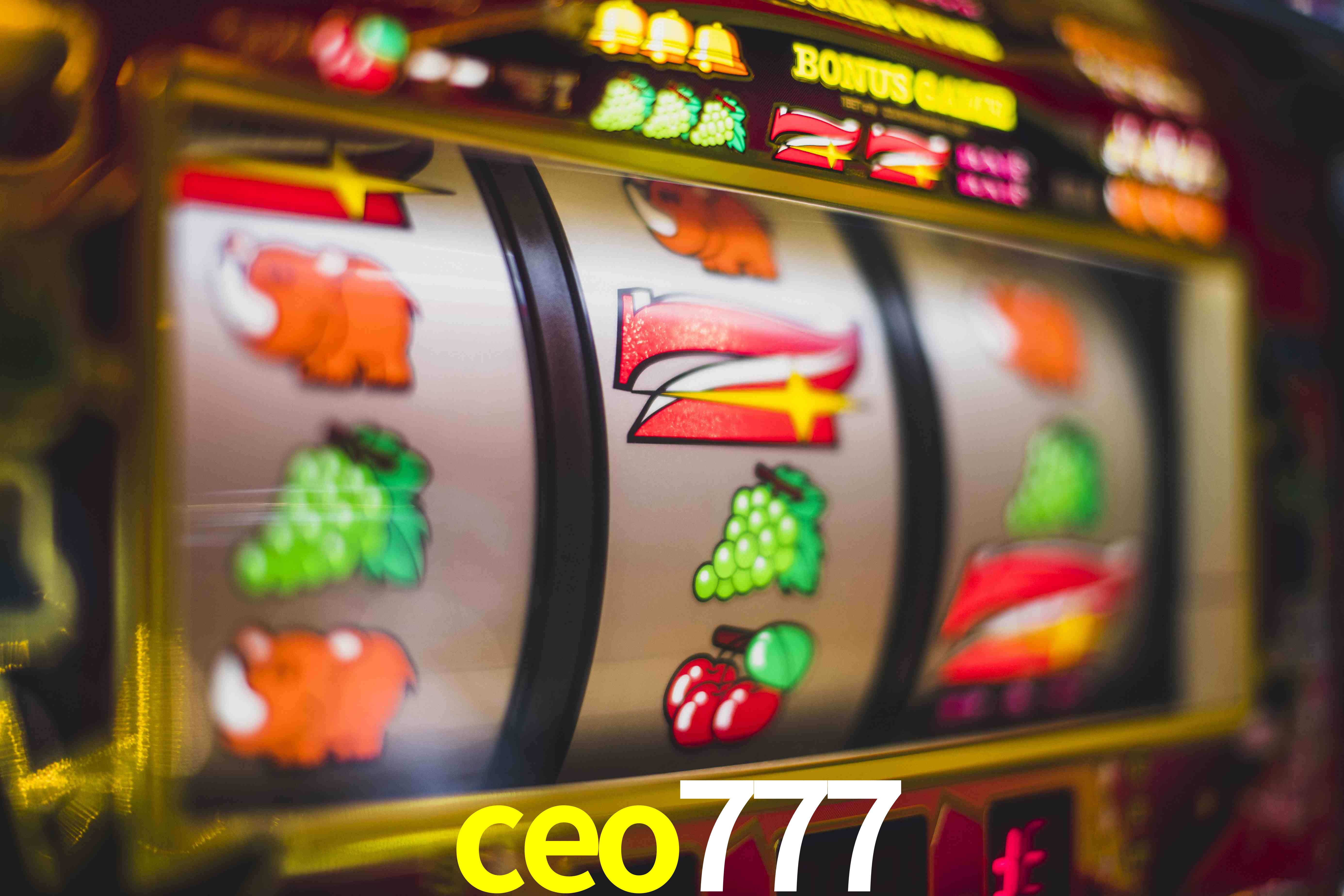 Statistics ceo777